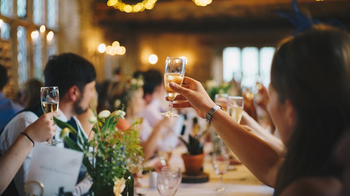 Invitados brindando en un casamiento con luces colgantes